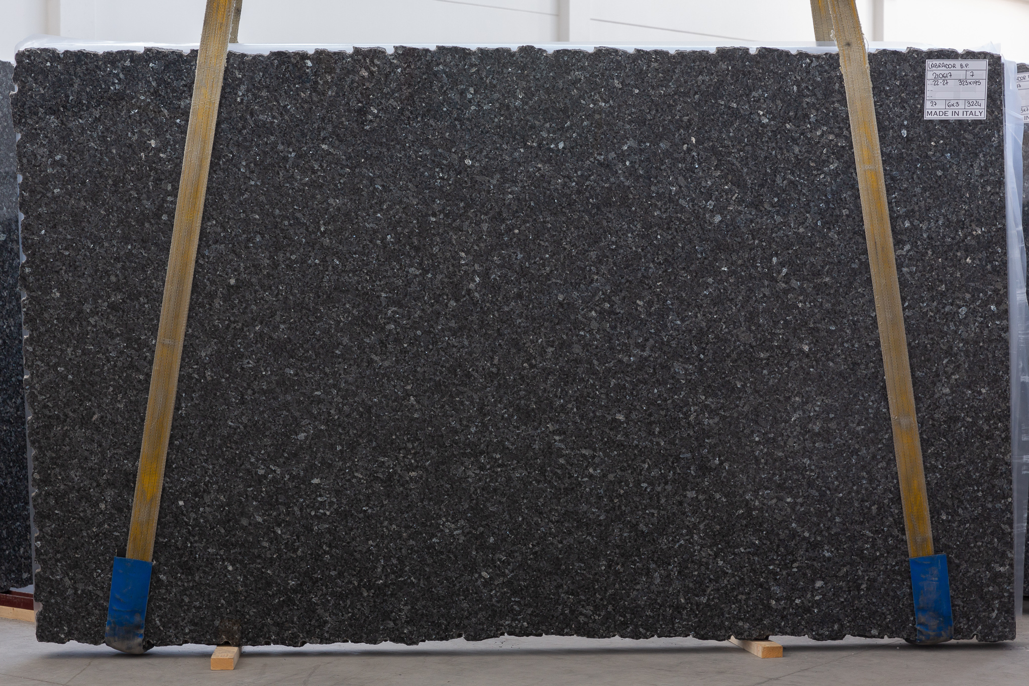 Labrador Blue Pearl (210617)