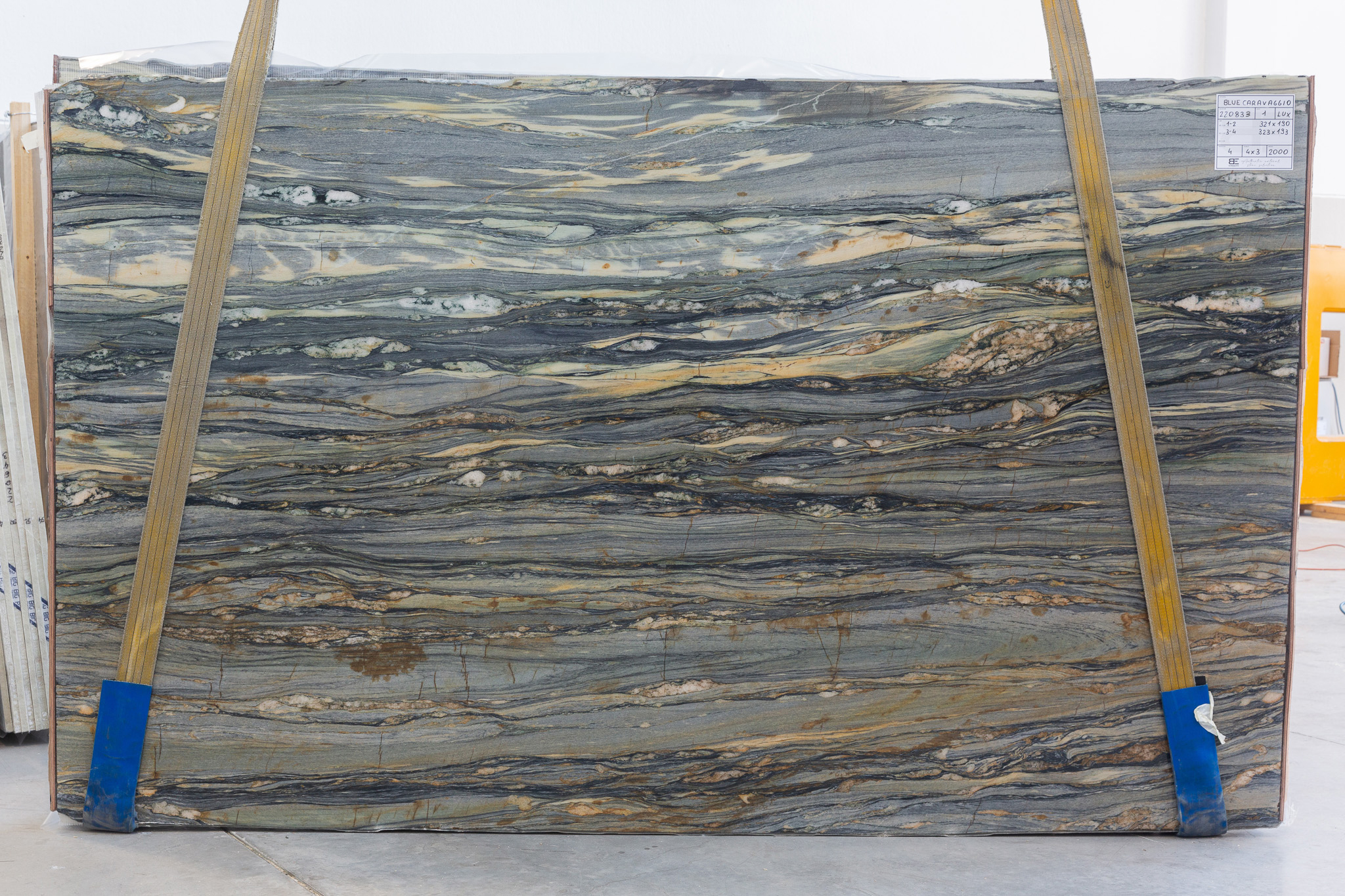 Blue Caravaggio (220833)