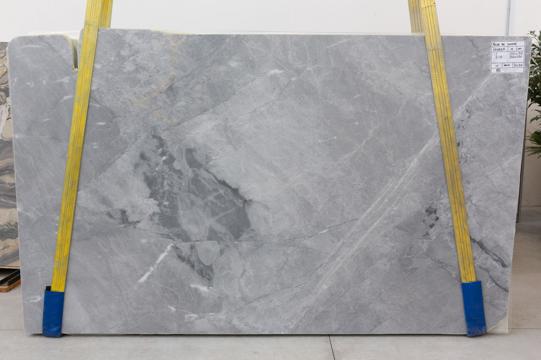 Blue De Savoye (250225)