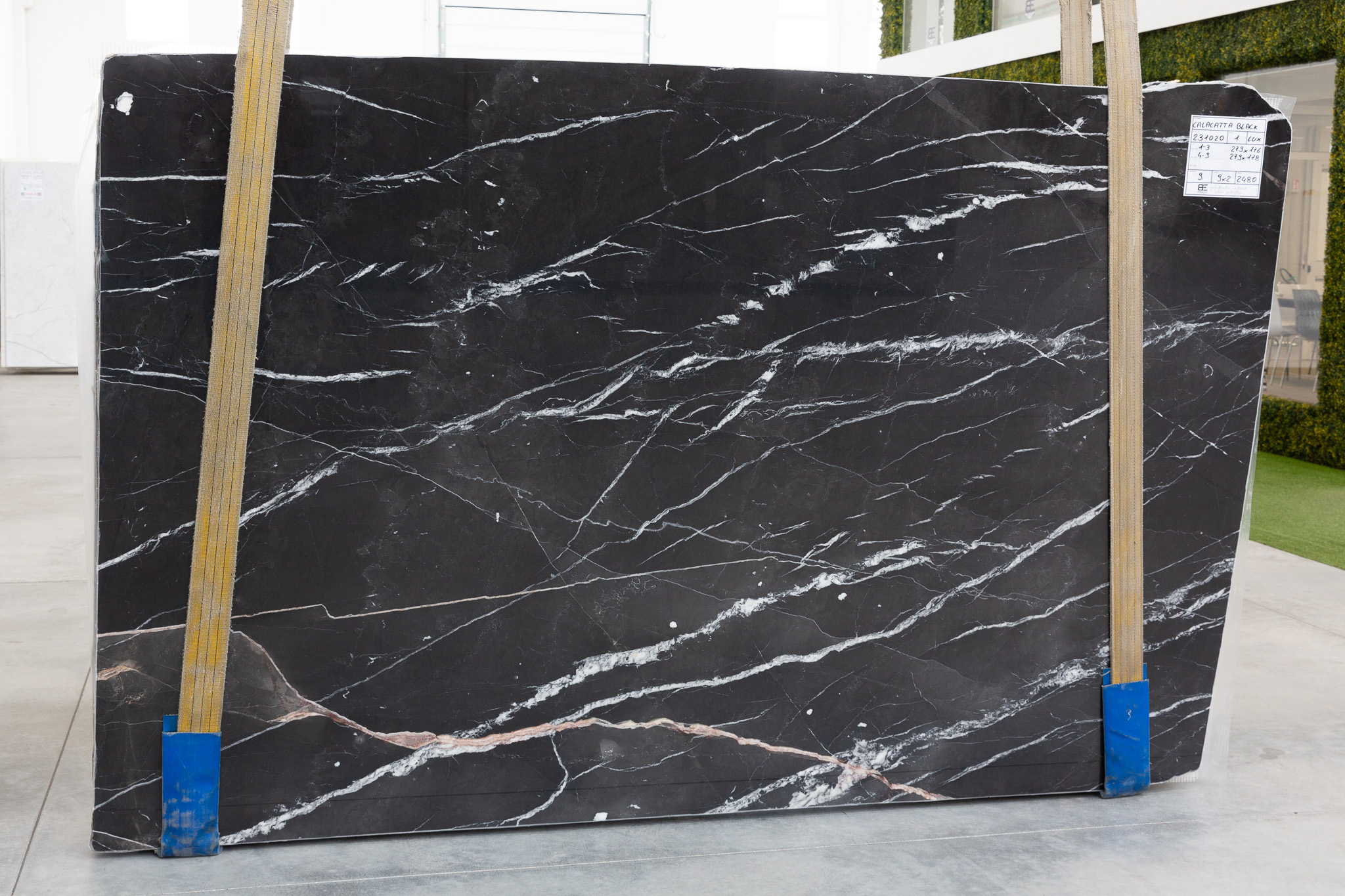 Calacatta Black (231020)