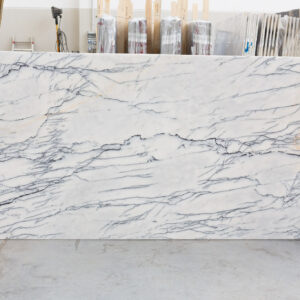 Lilac new york (240612)