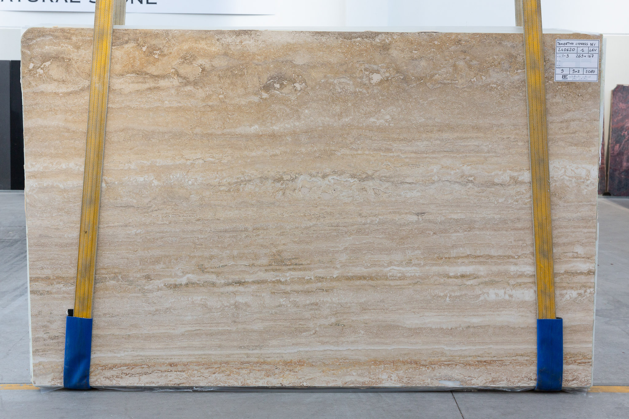 Travertino cypress dei (240620)