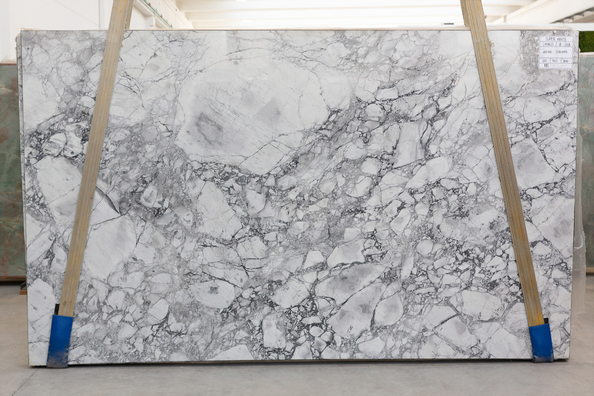 Super White Calacatta (BES240622)