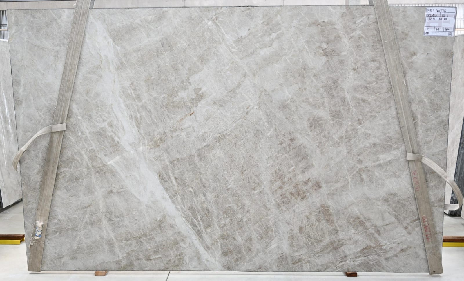 Perla Santana (BE251107)