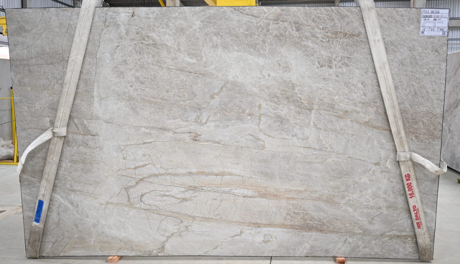 Perla Santana (BR260210)