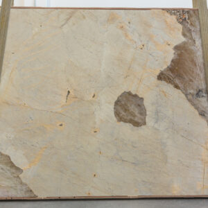 Patagonia Indiano (220827)