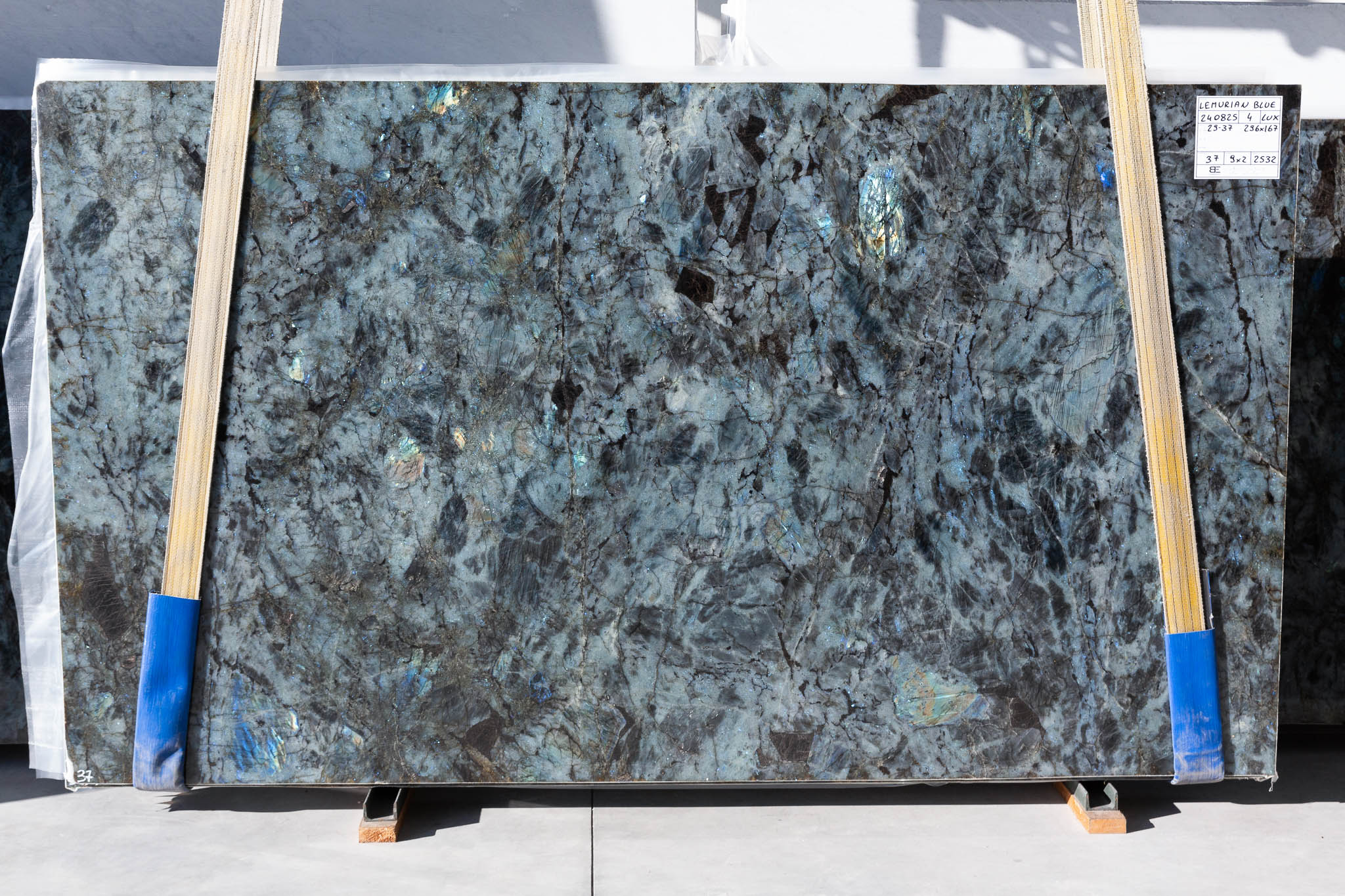 Lemurian Blue (240825)