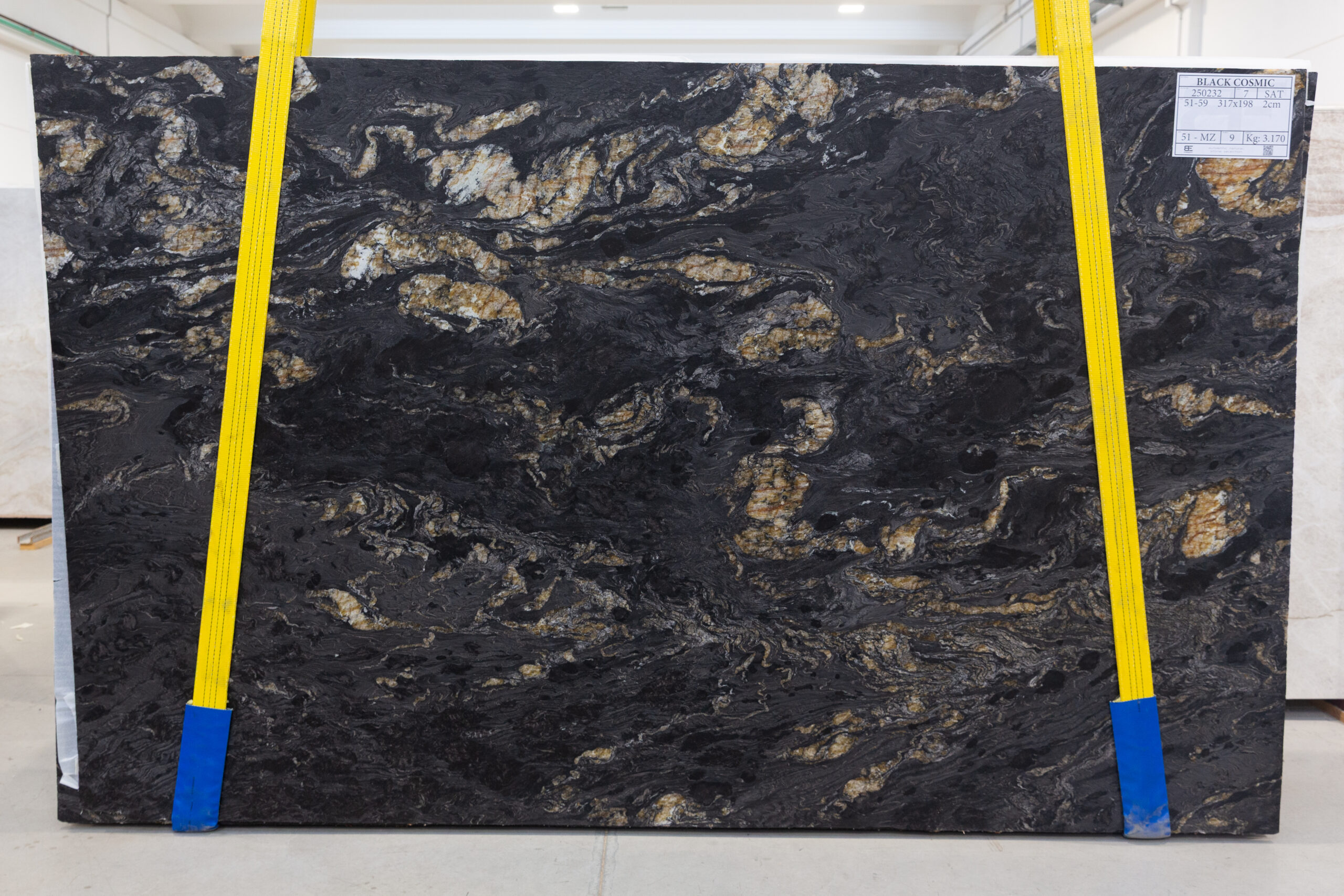 Black Cosmic (250232)