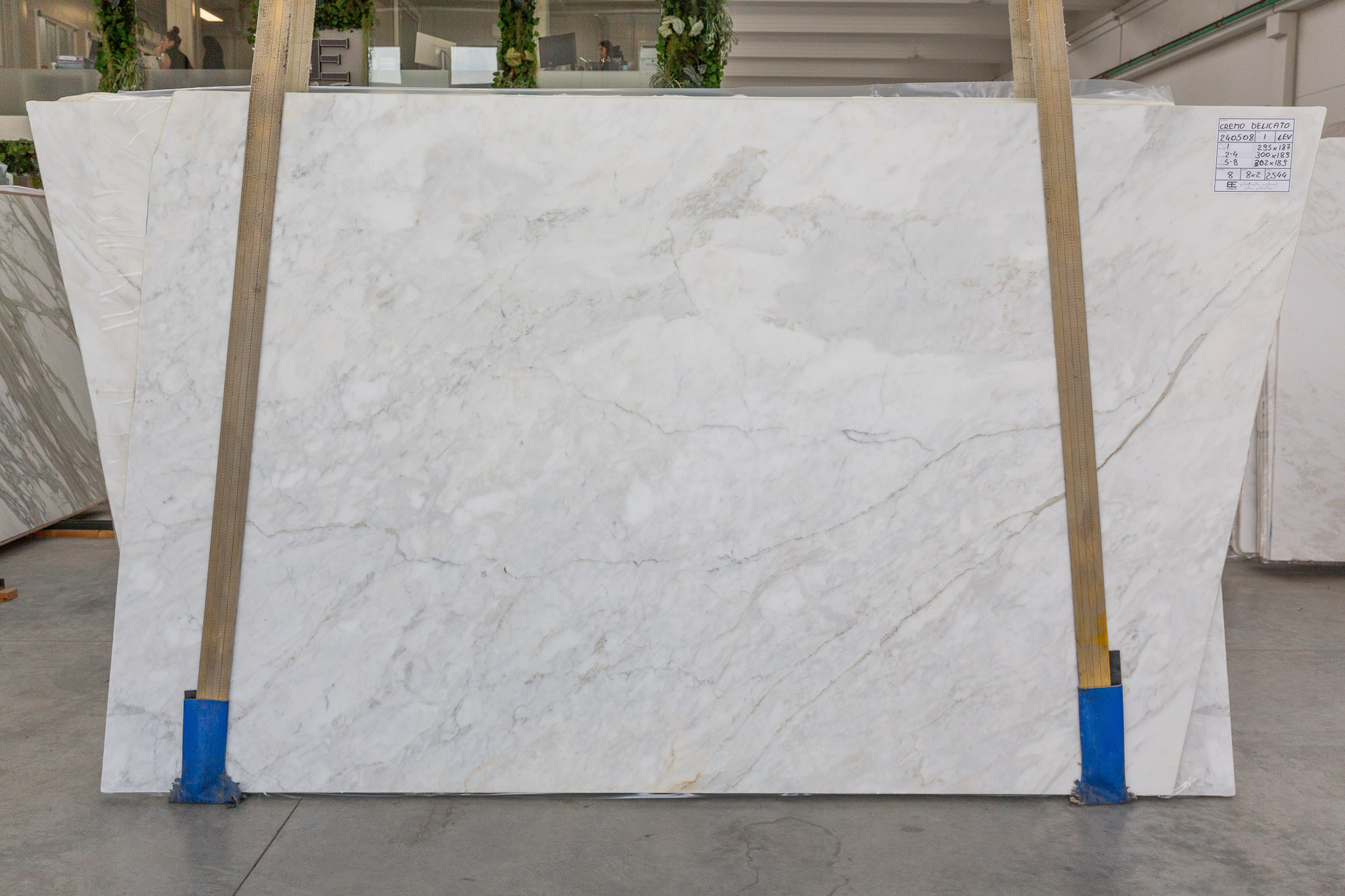 Cremo Delicato (240508)