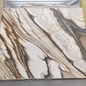 Oyster Apuano (250309)