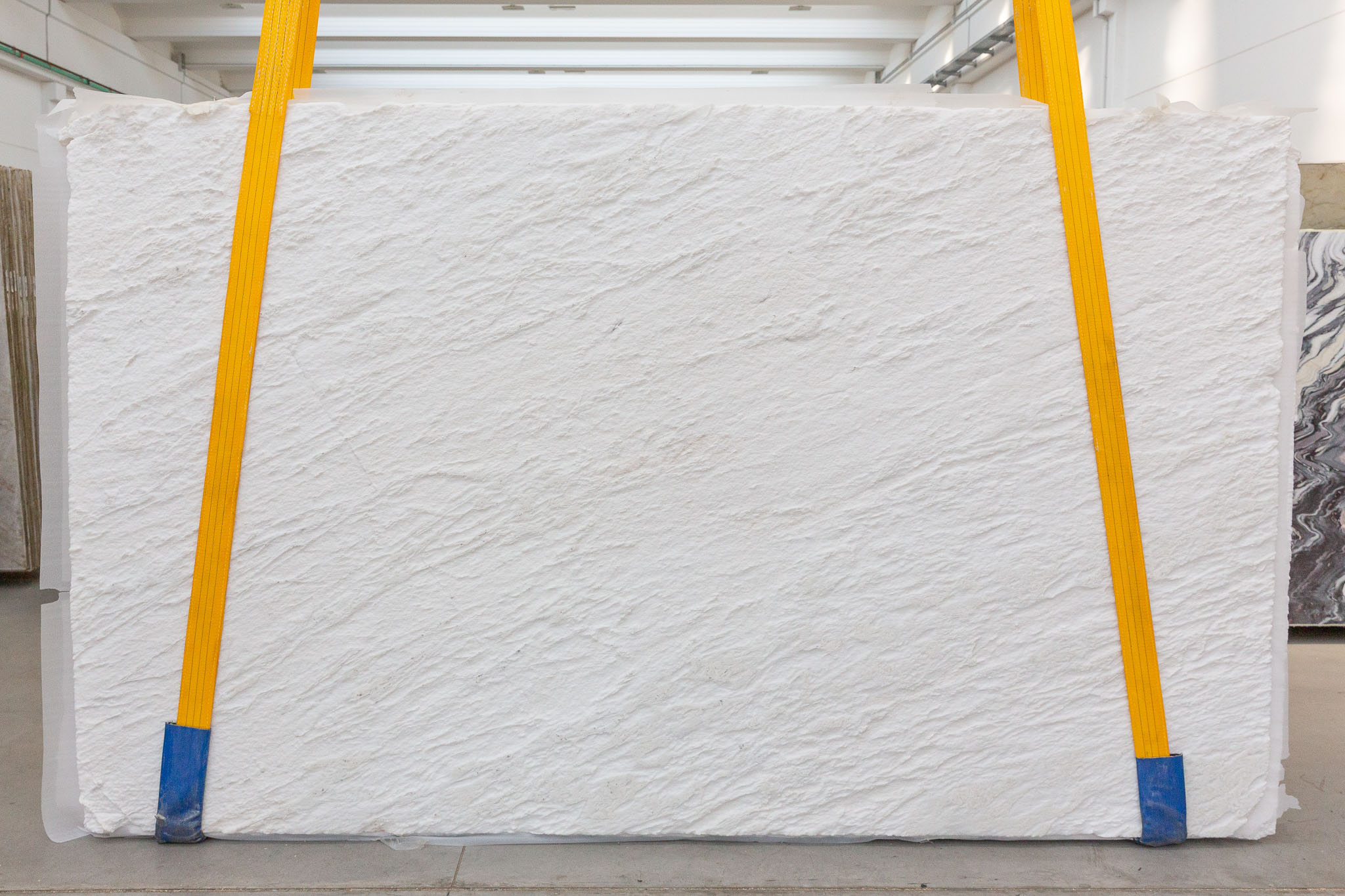 Rino White (250403)