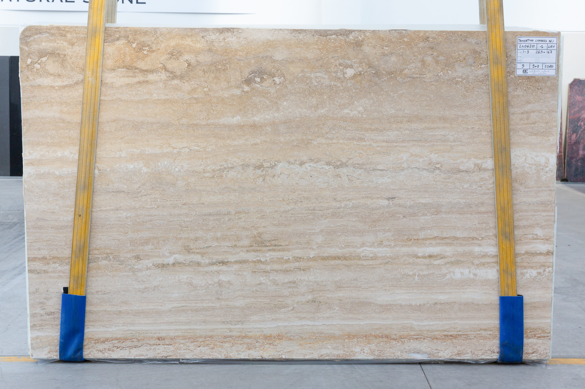 Travertino cypress dei (240620)