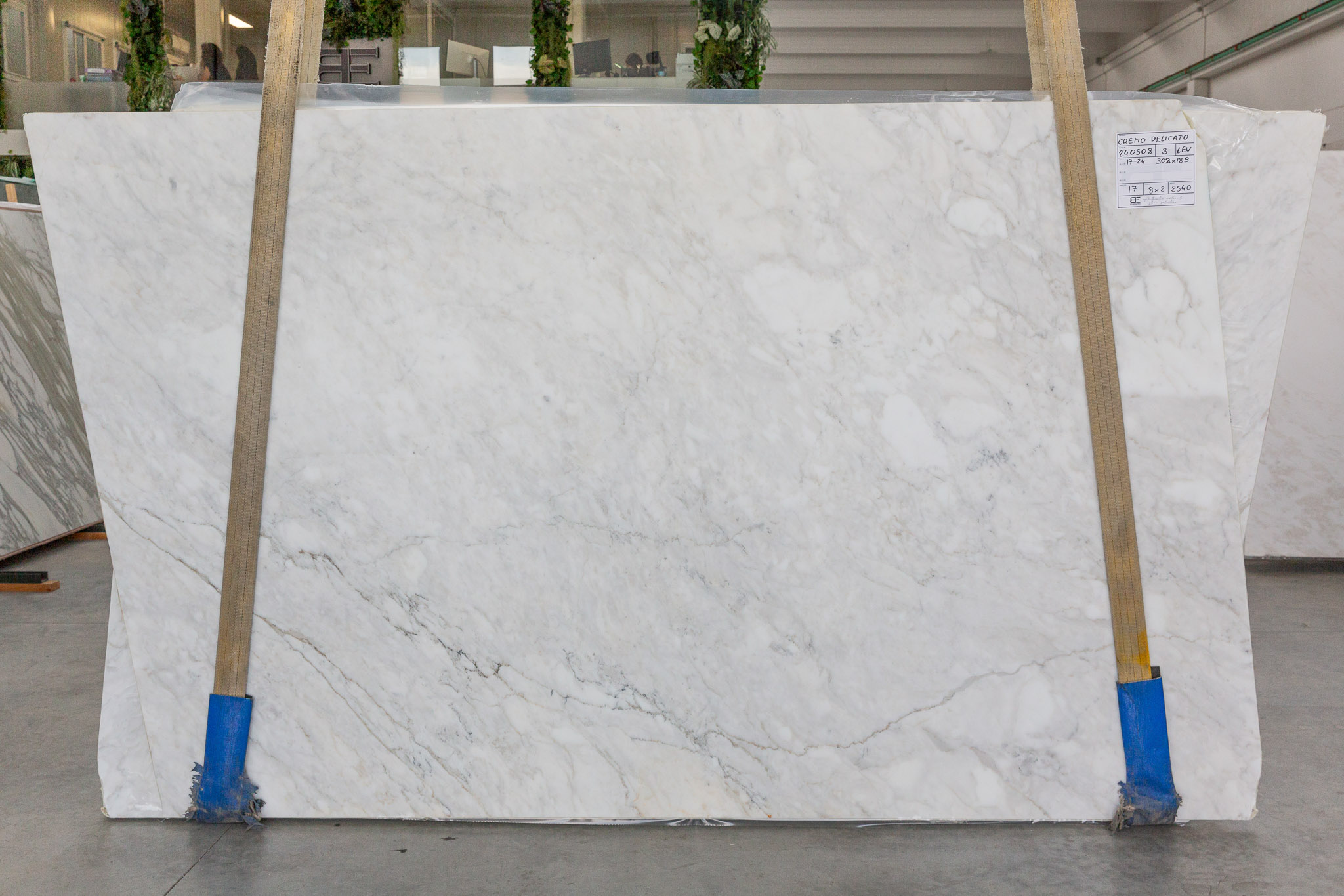 Cremo Delicato (240508)