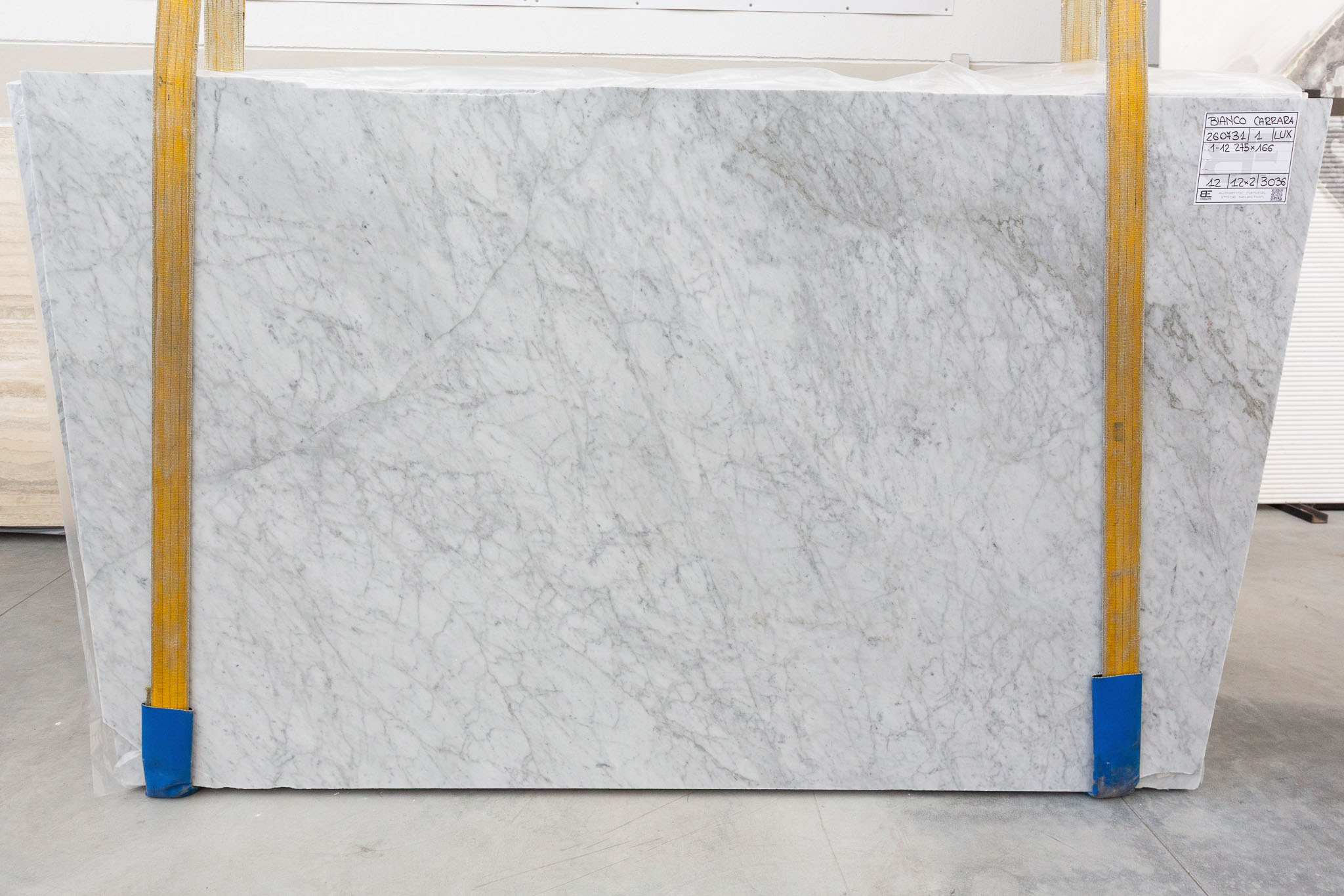 Bianco Carrara (260731)