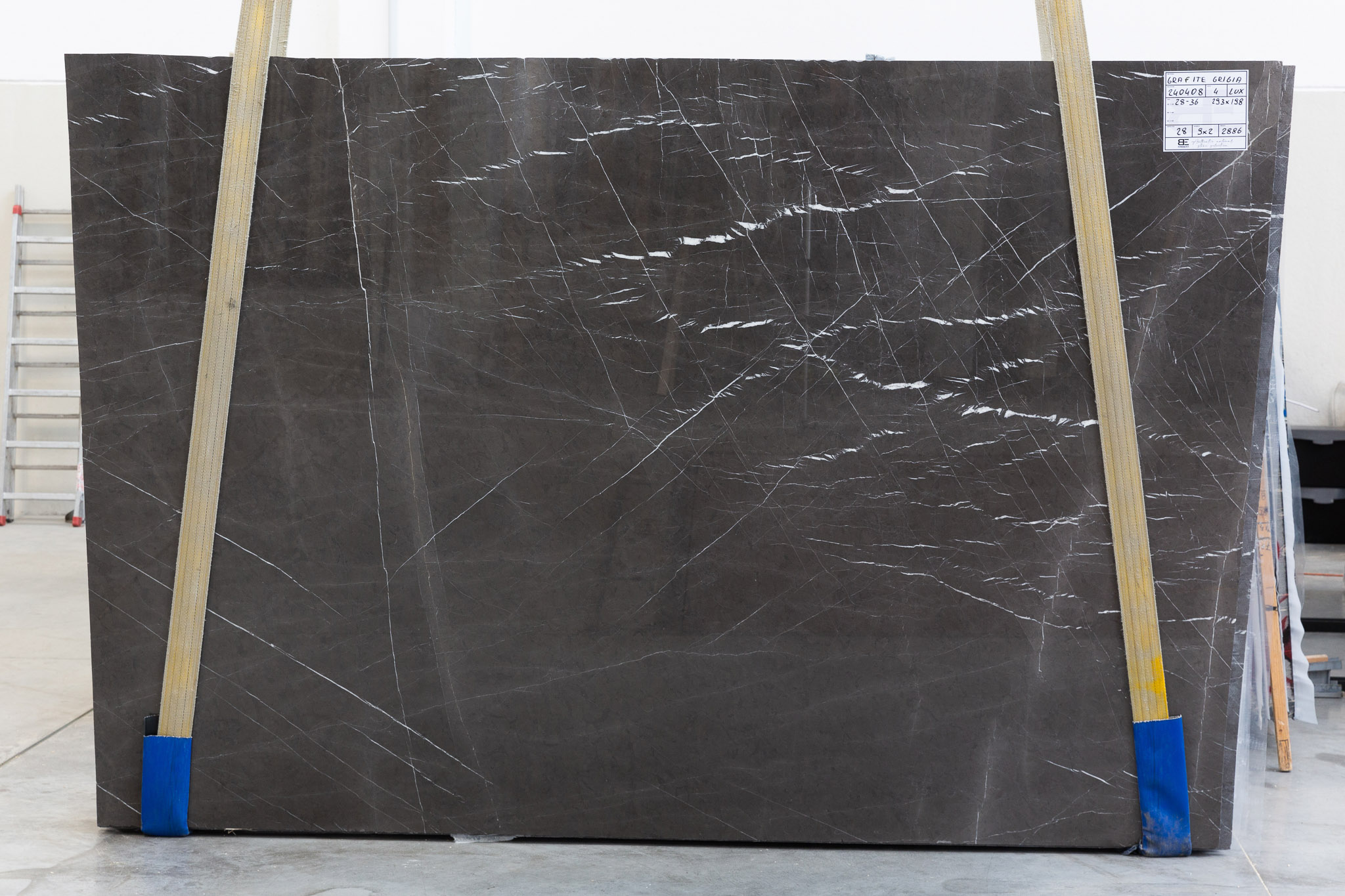Grafite Grigia (240408)