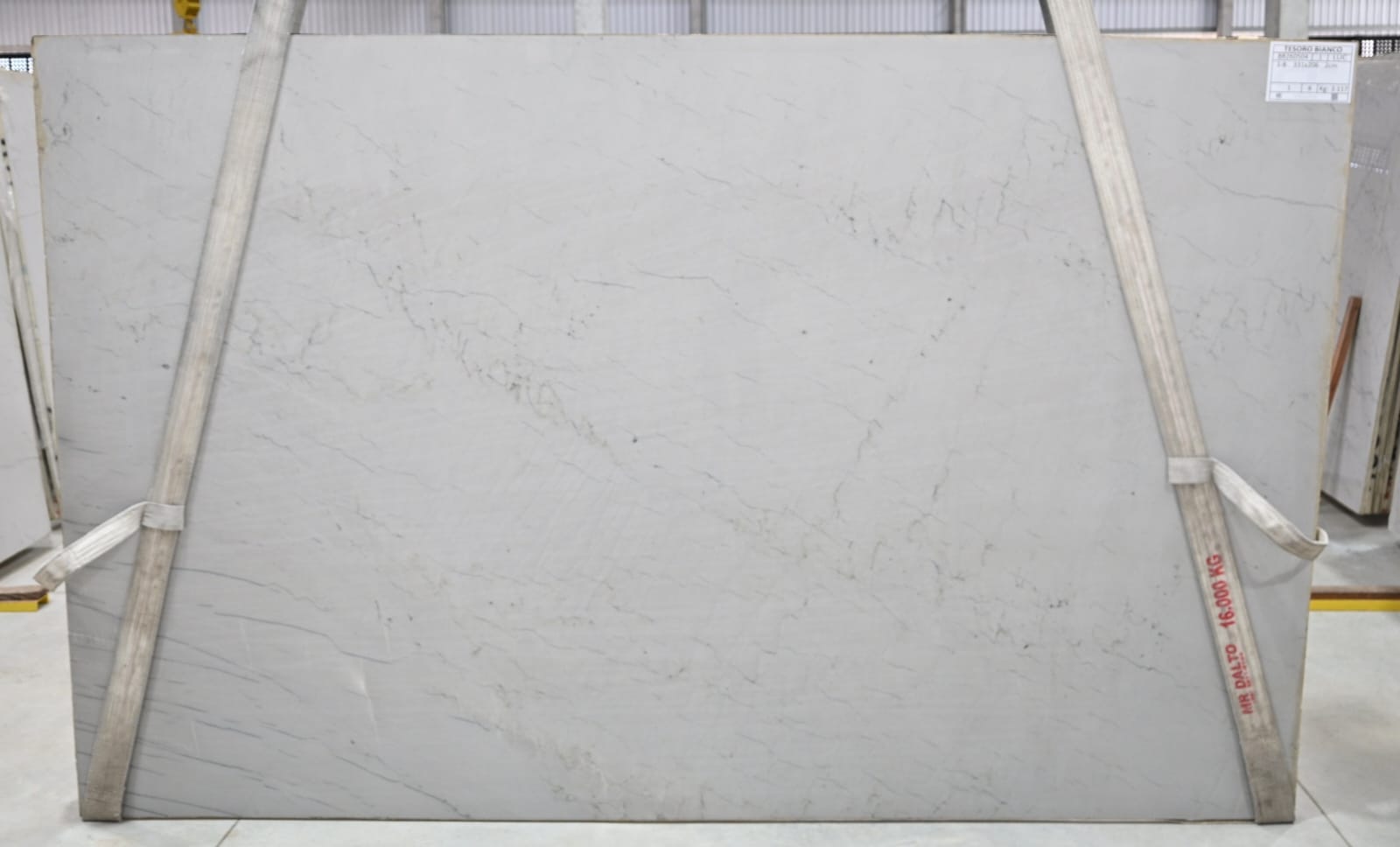 Tesoro Bianco (BR260504)